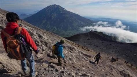 Viral Video Detik Detik Macan Jawa Terkam Pendaki Di Puncak Gunung