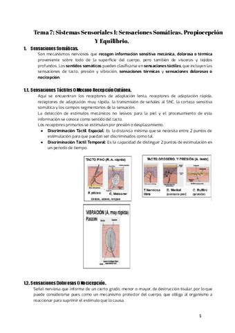 Tema 7 FISIO Pdf