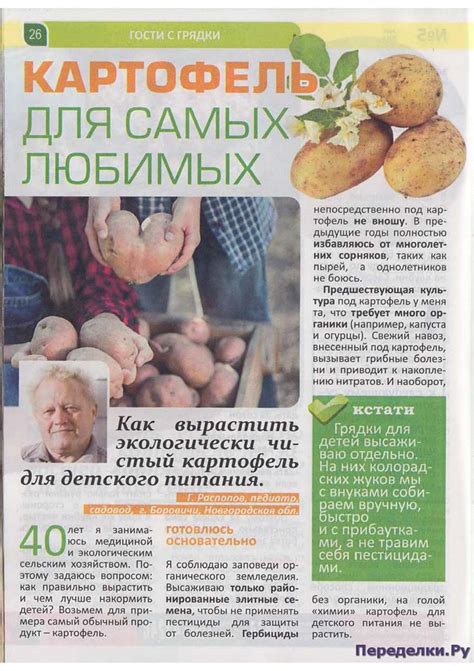 Картофель ч.1 * Переделки.РуПеределки.Ру