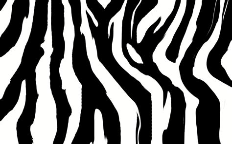 Zebra Pattern Wallpapers - Top Free Zebra Pattern Backgrounds ...