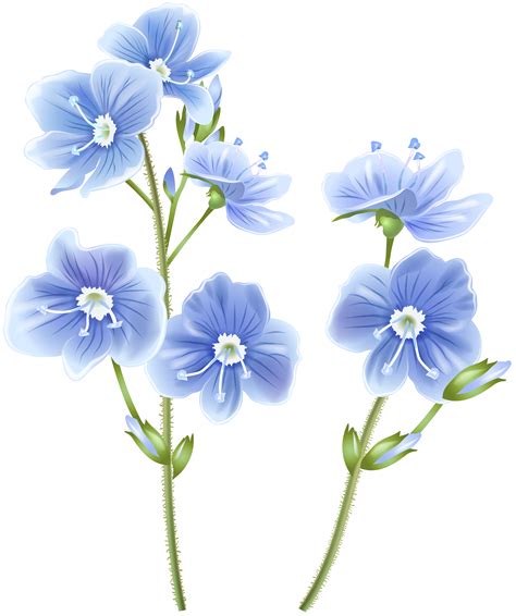 wildflower png 10 free Cliparts | Download images on Clipground 2025