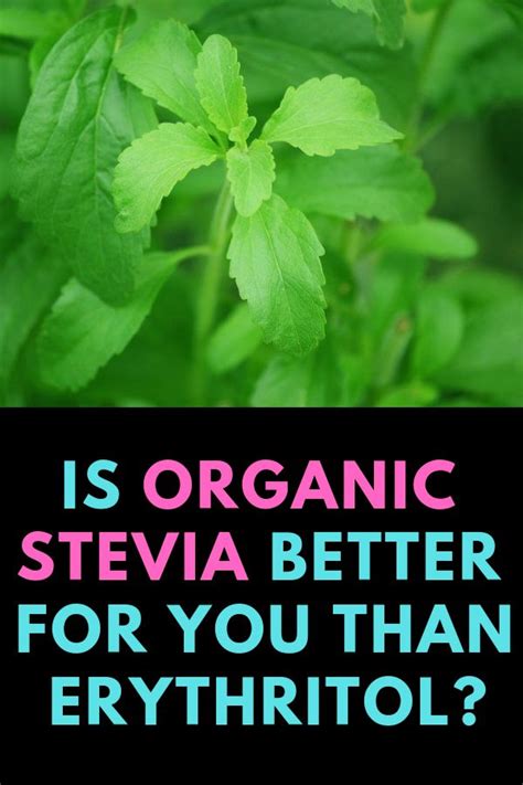 Is Organic Stevia Better for You Than Erythritol? | Erythritol vs ...