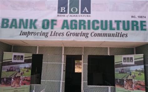 Nigeria Govt Seeks Support To Recapitalise Bank Of Agriculture