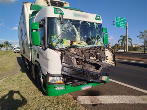 Carro e caminhão que transitavam no mesmo sentido colidem na Rodovia