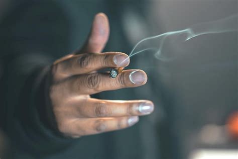 Saiba os prejuízos que o cigarro traz para o corpo Metrópoles