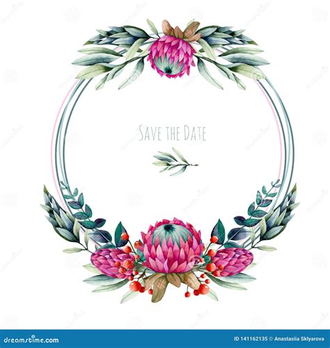 Protea Borders Templates