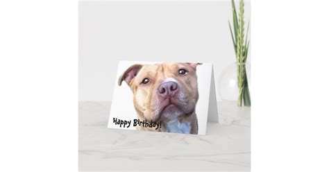 Happy Birthday Pitbull Greeting Card Au