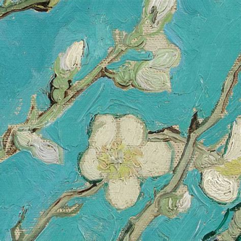 Quadro Van Gogh Amendoeira Flor Kolor Quadros