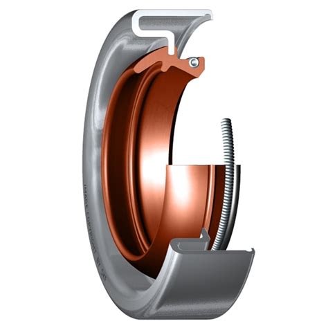 Skf FKM Single Lip Oil Seal Two Auxillary Lips 26239 Zoro