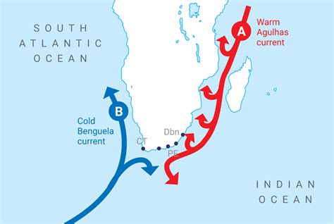 The Impact of TWO Oceans on South African Wine - Culture Wine Co