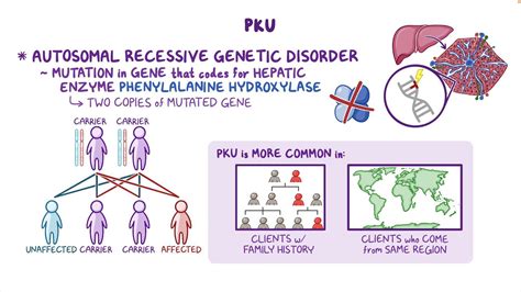 Phenylketonuria (PKU): Nursing - Osmosis Video Library