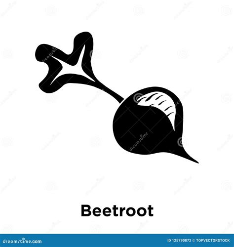 Beetroot Icon Vector Isolated On White Background Logo Concept Stock