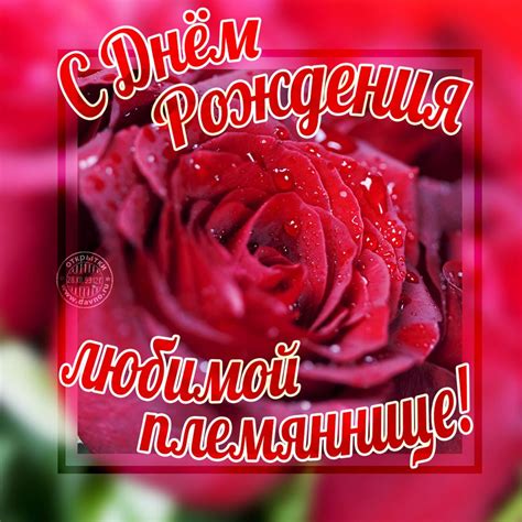 Пожелания на день рождения племяннице (150 фото) 🔥 BipBap.ru