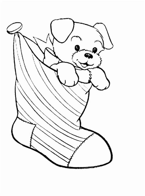 Pomeranian Puppy Coloring Pages at GetColorings.com | Free printable ...