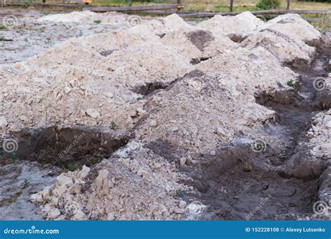 El Proceso De Preparar La Tierra Para Plantar Las Uvas Agujeros De