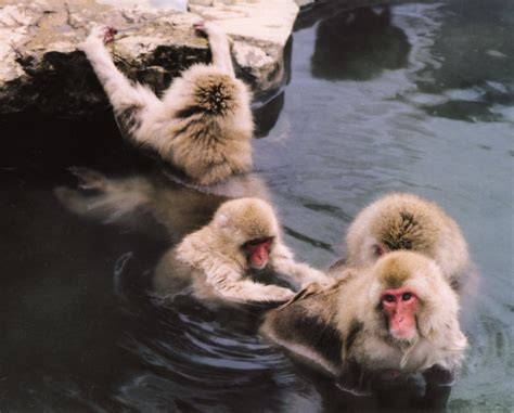 Outdoor Japan Magazine Who Doesnt Like A Hot Bath