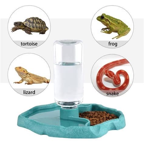 Distributeur D Eau Pour Reptile Abreuvoir Tortue Pour Mangeoire Pour