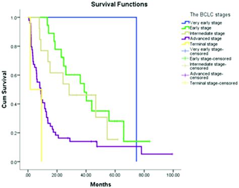 Kaplan Meier Curve Demonstrates The Survival Rates Of Hcc Patients