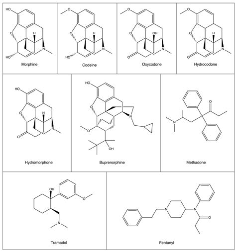 Pharmaceutics Free Full Text Impact Of Opioids On Cellular