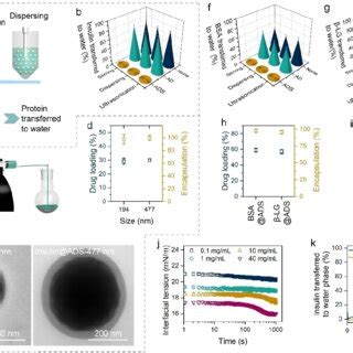 Interfacial self-assembly of amphiphilic polymers enabled a versatile ...