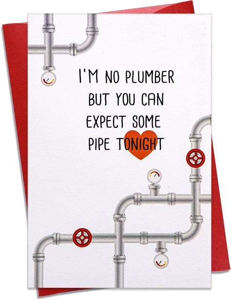 Whatsign Funny Valentines Day Cards X I M No Plumber Valentine S