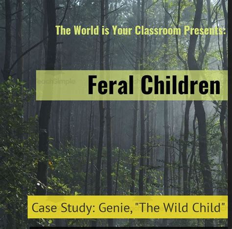 Feral Children: A Study of Dani and Genie by Teach Simple