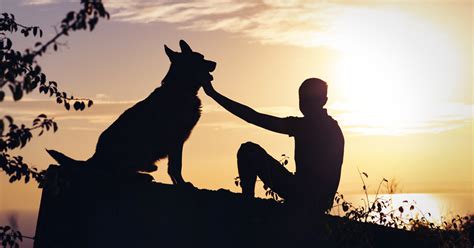 Consejos para afrontar el duelo por la pérdida de una mascota Bioguia