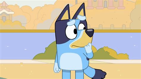 Is Bluey A Boy Or A Girl In Bluey