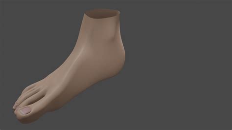 Female Feet 3d Model 20 Blend Fbx Free3d