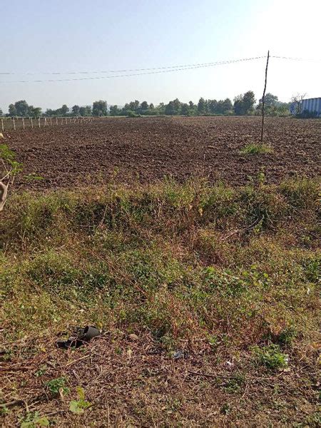 Agricultural Land 2 Acre For Sale In Kolar Road Bhopal REI1091775