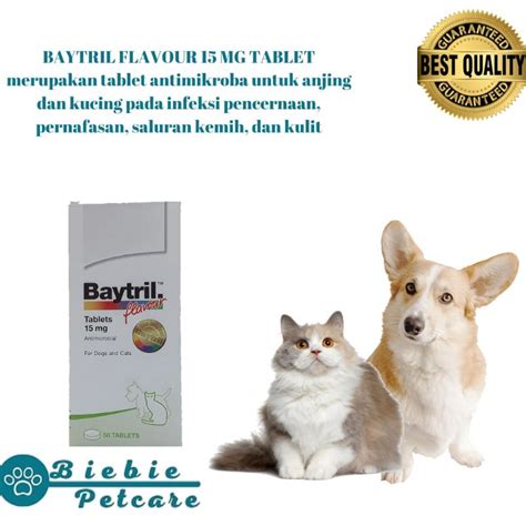 Jual BAYTRIL FLAVOUR Shopee Indonesia