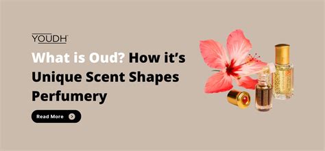 What Is Oud A Rare Scent Of Luxury And Elegance Youdh