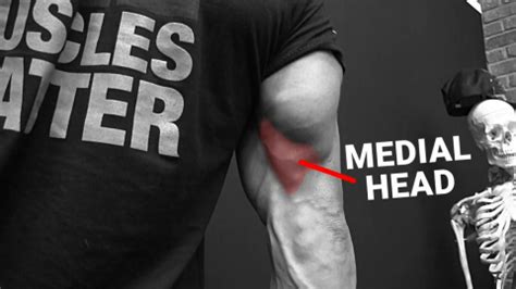 Long Head Triceps Exercises for Bigger Arms | ATHLEAN-X