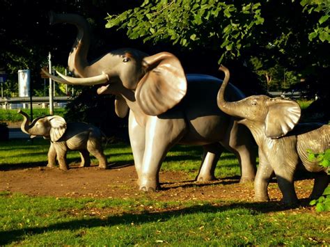 PARK KRASNALA NOWA SÓL RAJ NIE TYLKO DLA DZIECI