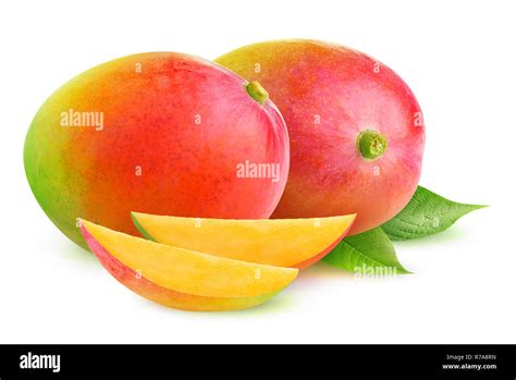 Isolated Mango Two Mango Fruit And Slices Isolated On White Background