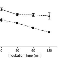 Internalization Of Fc Riib Riii In M N And M P Internalization