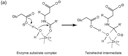 Solved Are the following examples of general acid/base | Chegg.com