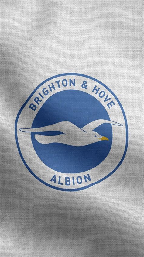 Brighton Hove Albion England White Vertical Logo Flag Loop Background ...