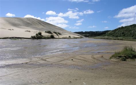 Why Do You Sink in Quicksand? - Quiz | Wonderopolis