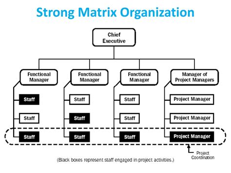 Ppt Organizational Influences And Project Life Cycle Powerpoint