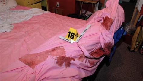 Horrific Gypsy Rose Crime Scene Photos Convinced Expert Shes A
