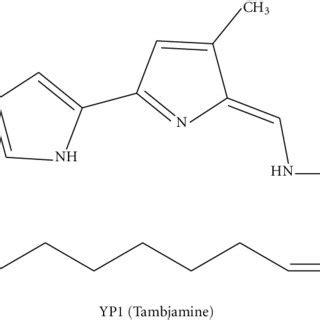 Phenazine derivatives. | Download Scientific Diagram