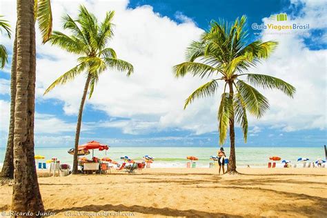 Imagem Dos Coqueiros Na Areia Da Praia De Boa Viagem E Ao Fundo O Belo Mar