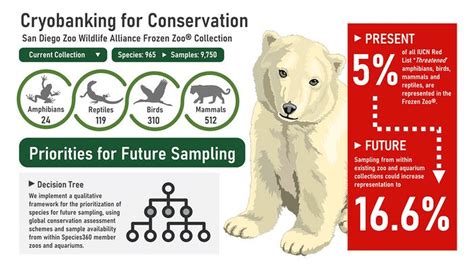 explain  importance  zoos  david frakes blog