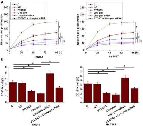 Ptcsc3 And Linc Pint Regulated Gastric Cancer Cell Proliferation And