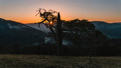 Bergf Hre Auf Dem Roggen W Hrend Sonnenuntergang Patrick Herren Flickr