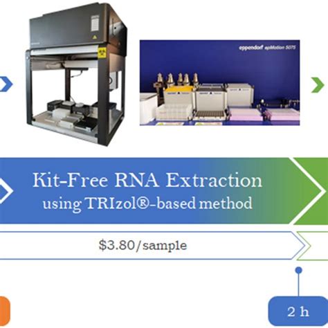 Efficiency of TRIzol RNA extraction from serial-diluted SARS-CoV-2 ...