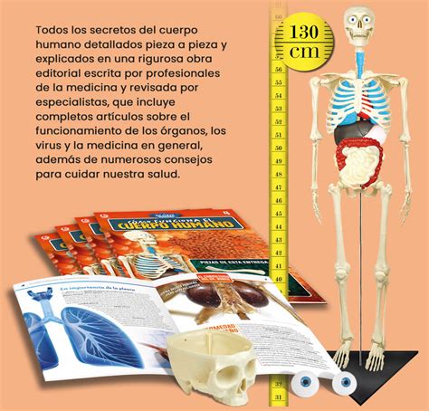 Colección Cómo Funciona el Cuerpo Humano Fascículos Coleccionables