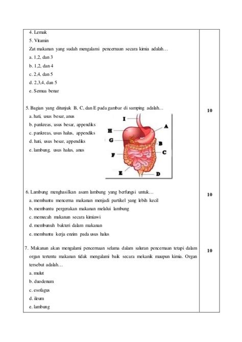 Soal Hots Sistem Reproduksi Kelas 11 Riset