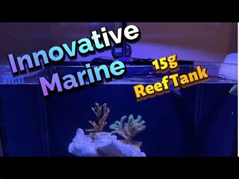 Innovative Marine Nuvo Fusion Gallon Simple Reef Budget Friendly